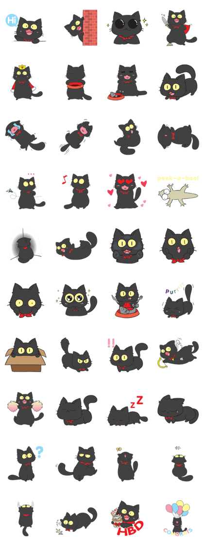 Chao Guay the Munchkin Cat