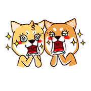 Shiba X Shiba