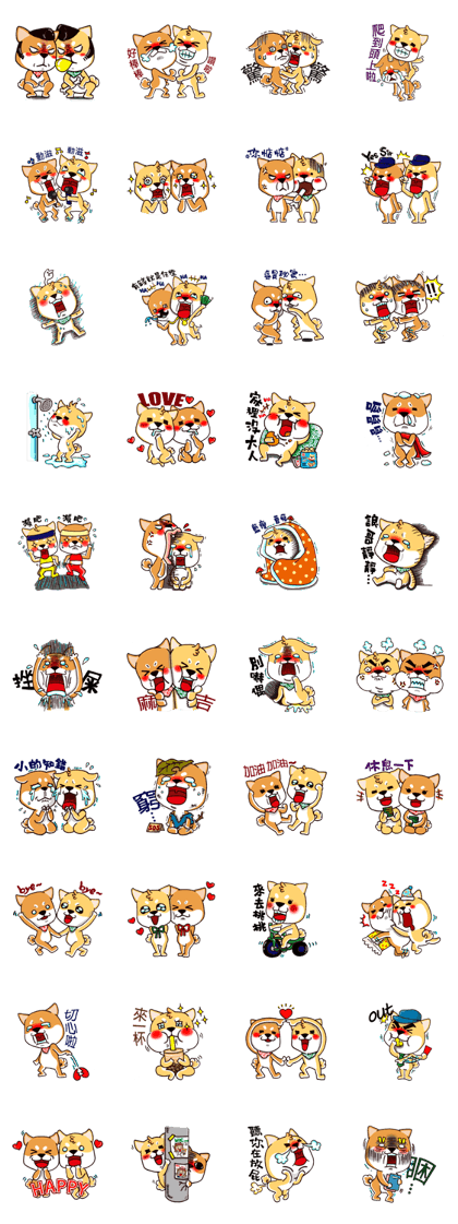 Shiba X Shiba