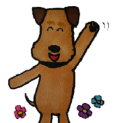 Pippi the Airedale Terrier