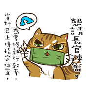 Smelly face mask cat