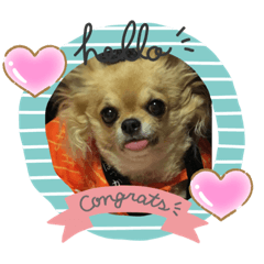 YUKARI_20201209112200