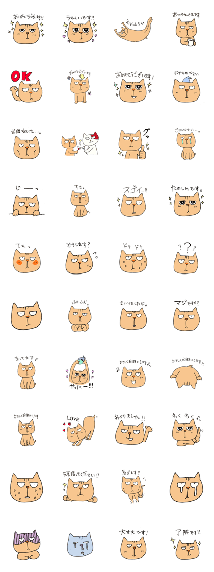 Wild cat JYAIKO