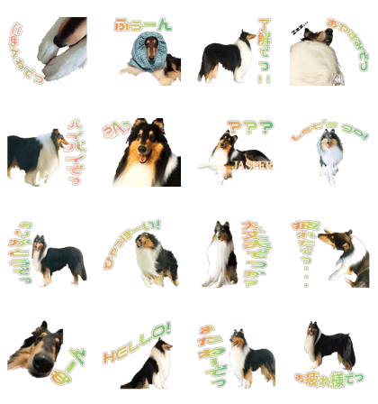 Jasper's Sticker