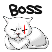 The boss cat.