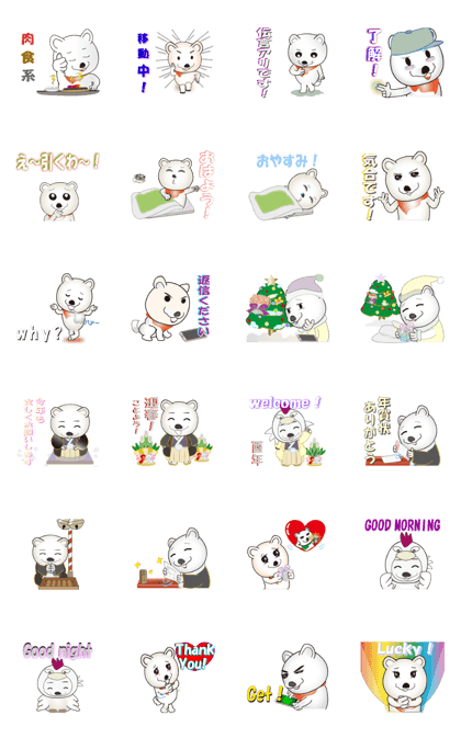 daily life 5 of moving shiba dog shiro
