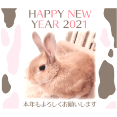 miel 2021 new year