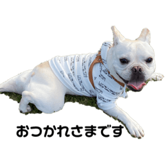 smile_20201209145011