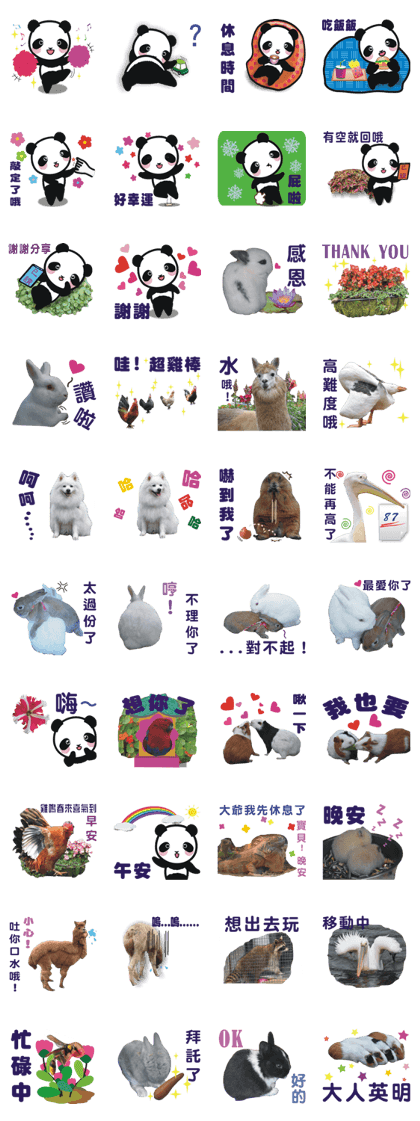 Panda and Cute Animals [Traditional ]