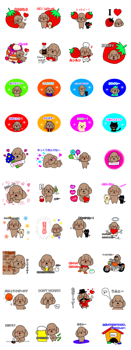 Toy poodle the muck (thank you)