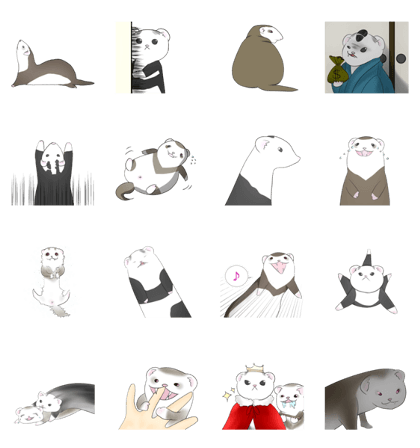 loose life with tow ferret