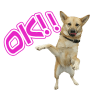 Tamao's Sticker