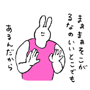 Rabbit in pink dress's name is Luna