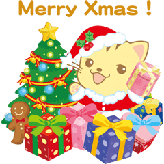 Baby Cat  Merry Christmas! - English