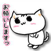 Cat who answers obediently