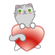 Small gray cat
