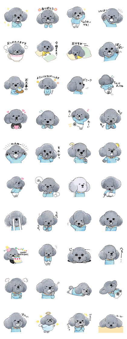 blackpoodle CHOCO