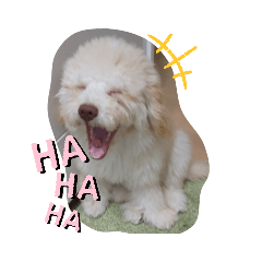 asako_20201209172813