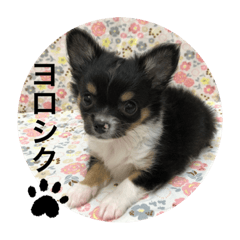 TONO_20201209085153