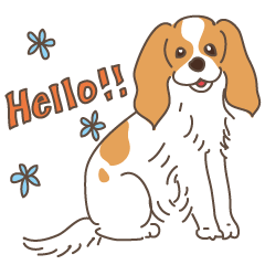 Life with Cavalier King Charles Spaniel