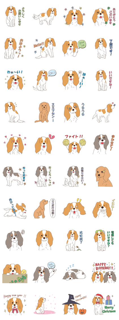 Life with Cavalier King Charles Spaniel