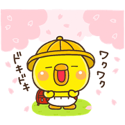 HARU pippi