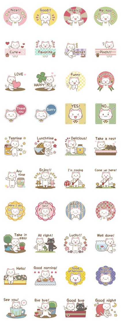 Cute white cat "Jasmine"