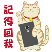 Humor Lucky Cat