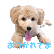 LianPapa_20201209224106