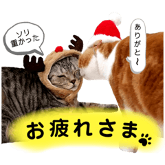 manmaru_20201210023813