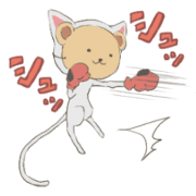 Cat to mask