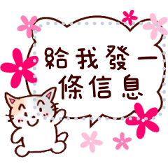 Message sticker! Cute cat(twn)