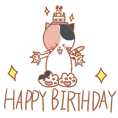 三毛猫の誕生日お祝い