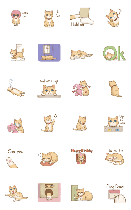 Cat's Lifestyle-Move!(English Ver.)