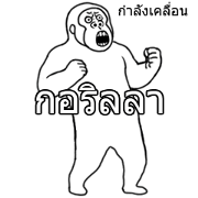 Moving Golila Thai