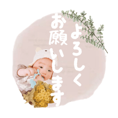 tanuki_20201210104650