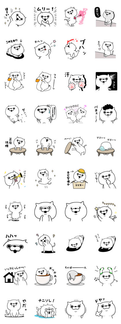 Cat Taro 5