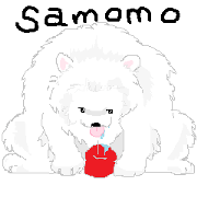 samomo sticker