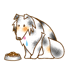 シェルティな毎日3ブルーマール編 関西弁 Line スタンプ Line Store シェルティな毎日3ブルーマール編 関西弁 Line スタンプ Line Store