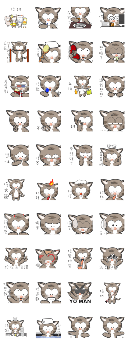Mr Grey Little Cat 1 with TC