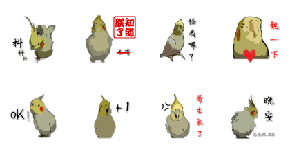 Whitebird's Life