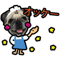 SHABU - the Pug (Japanese Version)