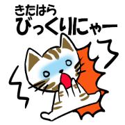 My name is KITAHARA .Thank you.