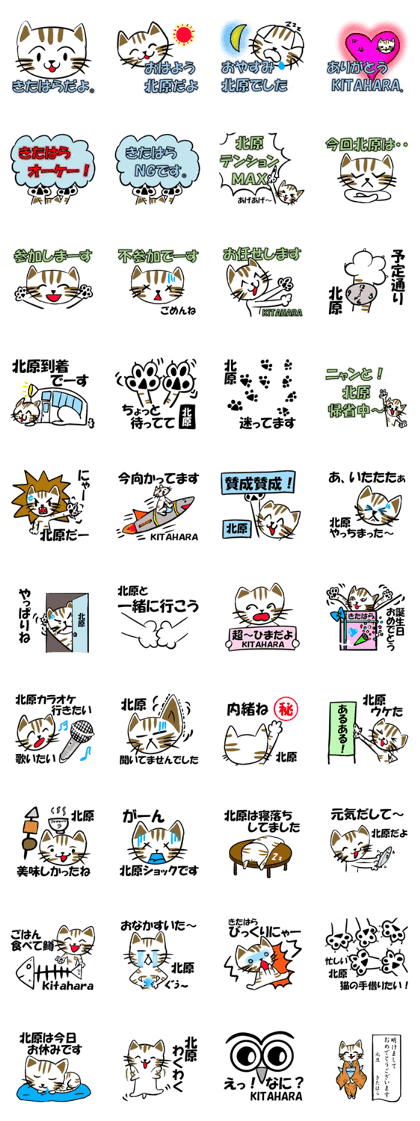 My name is KITAHARA .Thank you.