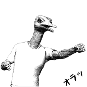 Ostrich Senior 5