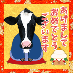 New Year's holiday stickers from cows