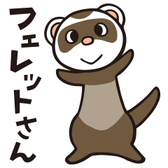 Easy-to-use "Ferret-san" everyday