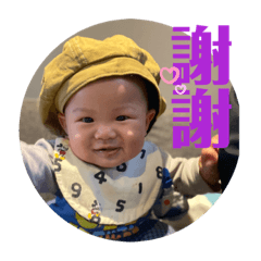 薯餅daily3.0