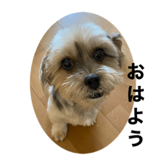 nozomi_20201209194204