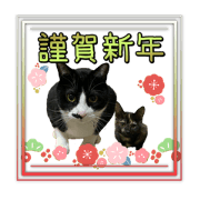 mayu_20201210115216